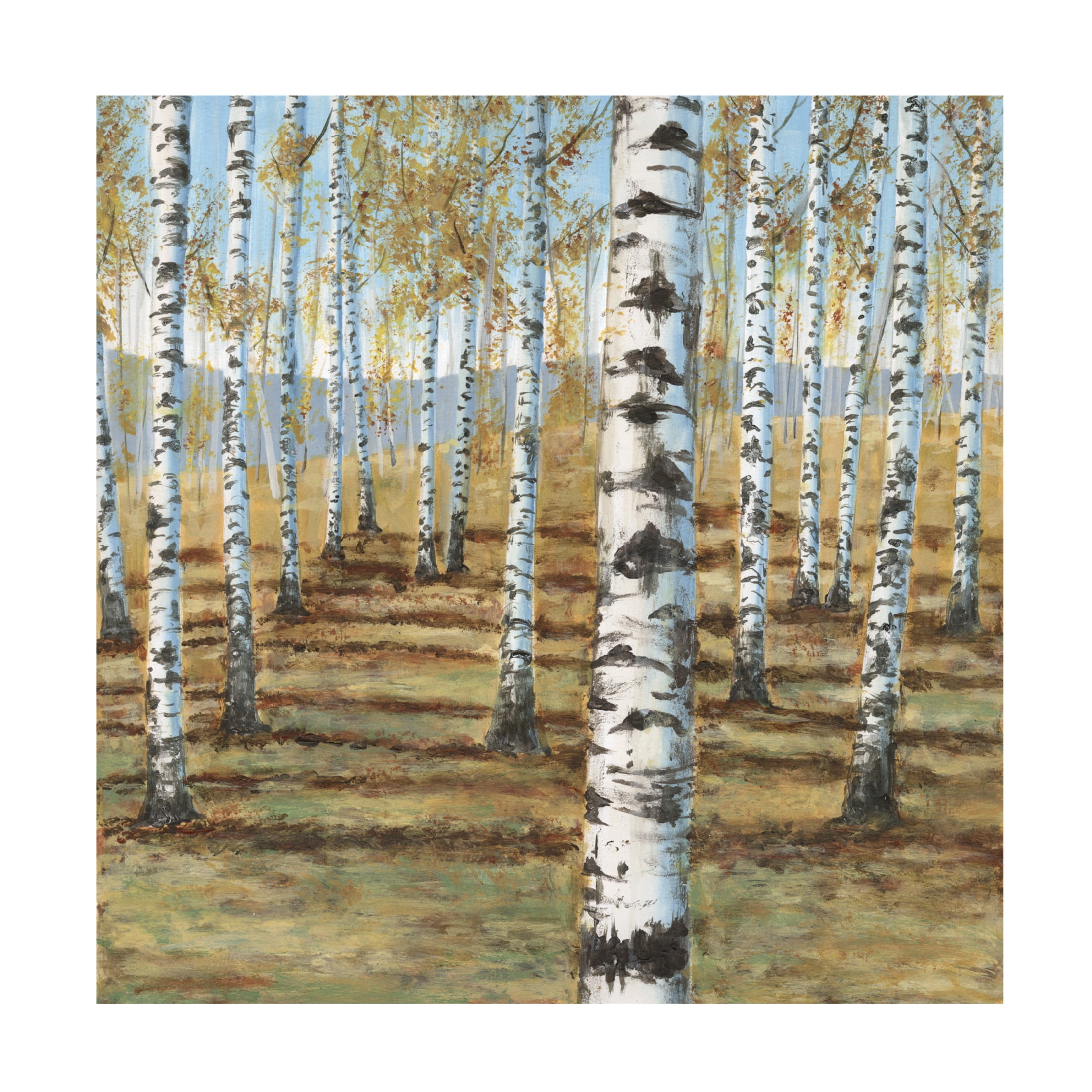 Trademark Fine Art Michael Willett  Birch Hillside I Canvas Wall Art