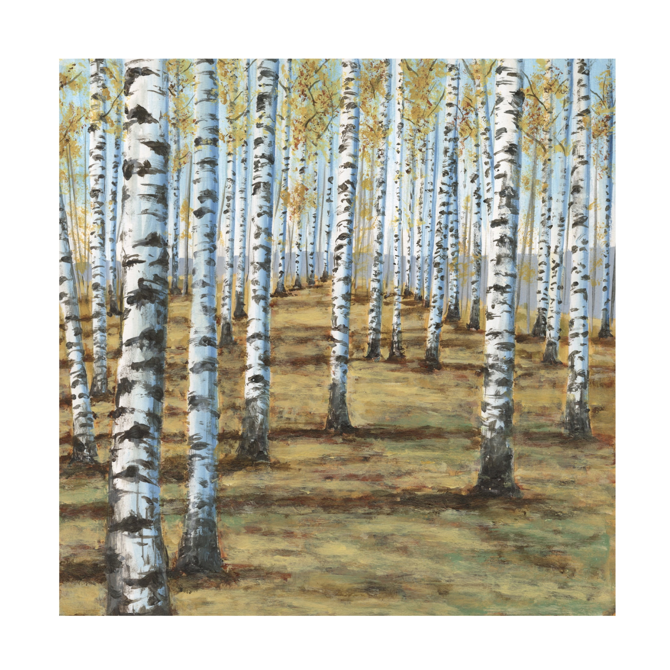 Trademark Fine Art Michael Willett  Birch Hillside II Canvas Wall Art