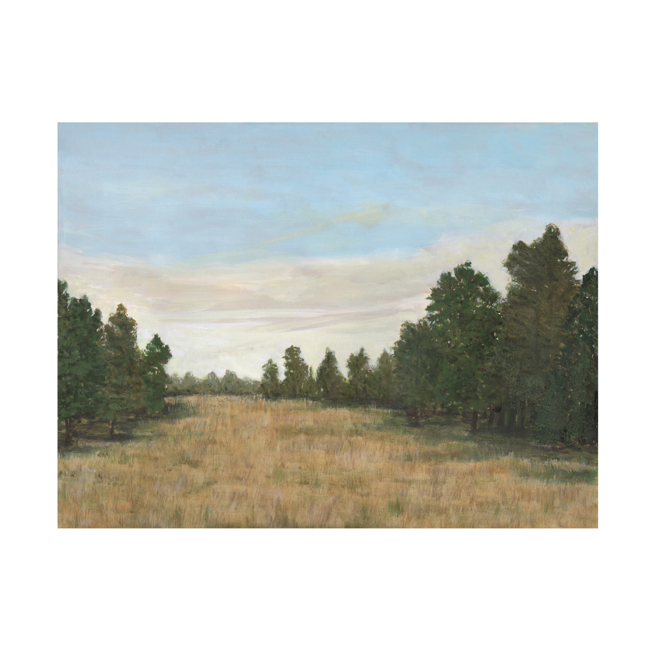 Trademark Fine Art Michael Willett Countryside Clearing I Canvas Wall