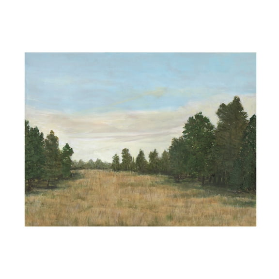 Trademark Fine Art Michael Willett  Countryside Clearing I Canvas Wall Art