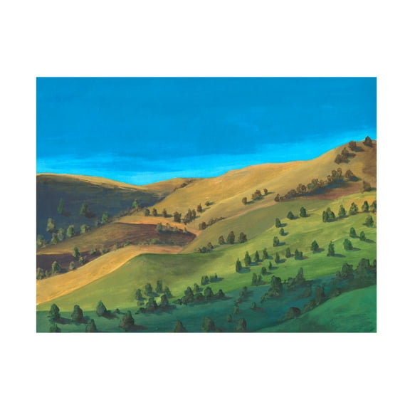 Trademark Fine Art Michael Willett Golden Hillsides II Canvas Wall Art