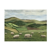 Trademark Fine Art Michael Willett  Highland Sheep II Canvas Wall Art