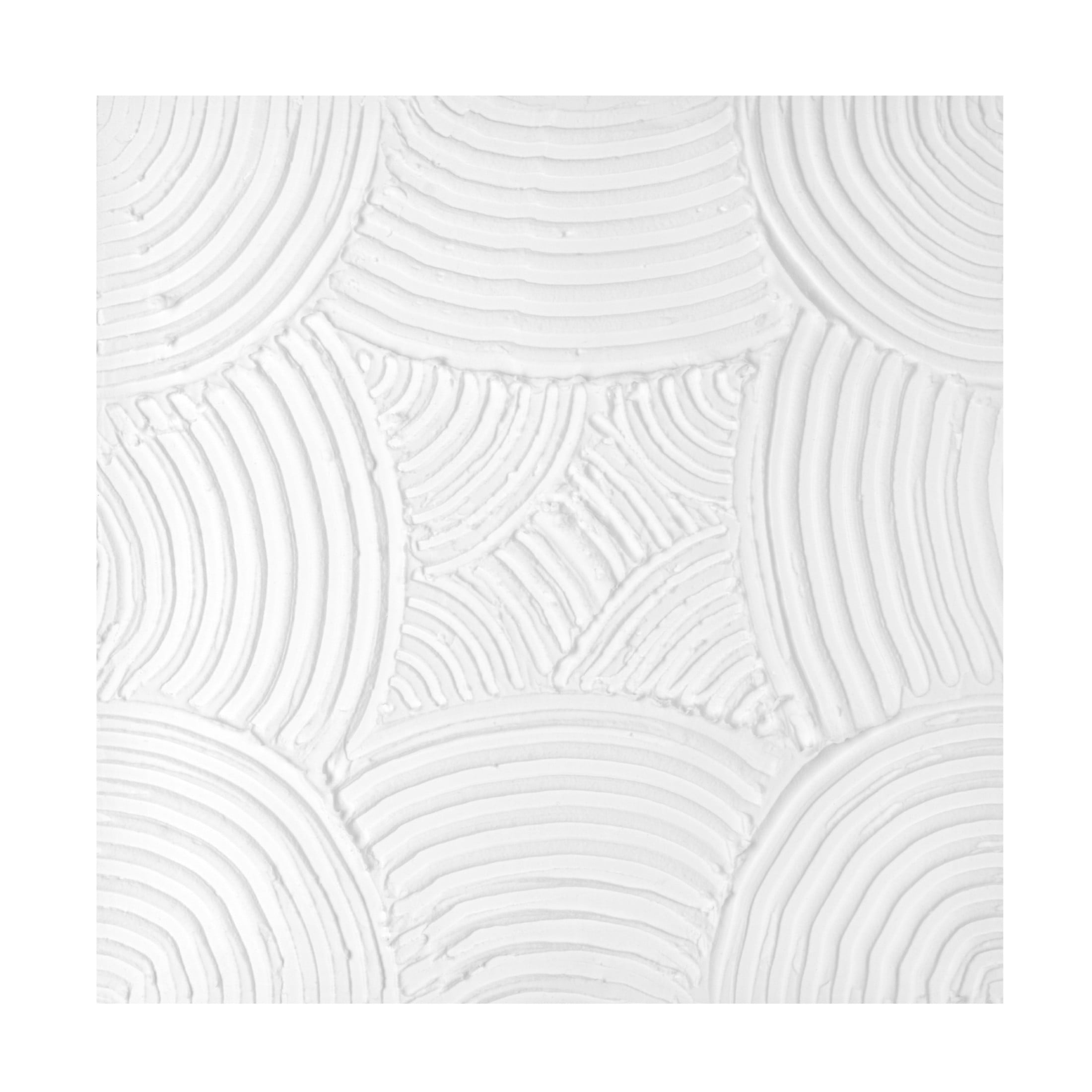 Trademark Fine Art Michael Willett Pale Tracks II Canvas Wall Art