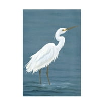 Trademark Fine Art Michael Willett  Wading Egret I Canvas Wall Art