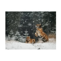 Trademark Fine Art Michaela Firesova It Is Snowing Canvas Wall Art