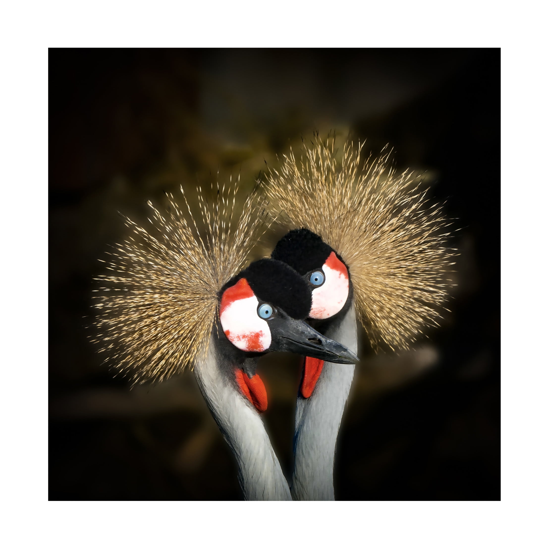 Trademark Fine Art Michel Romaggi Makeup Canvas Wall Art