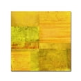 thumbnail image 1 of Trademark Fine Art Michelle Calkins 'Essence of Yellow' 18" x 18" Canvas Stretched (190836071678), 1 of 4