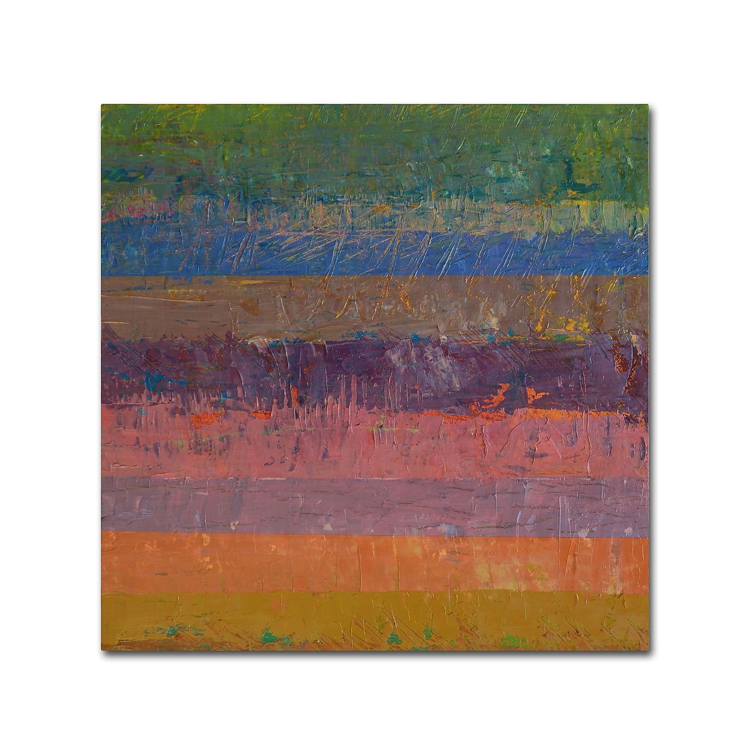 Trademark Fine Art Michelle Calkins 'Pink Line' 18" x 18" Canvas Stretched (190836074877)