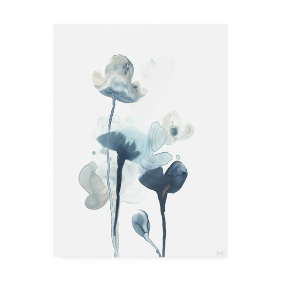 Trademark Fine Art 'Midnight Blossoms IV' Canvas Art by June Erica Vess