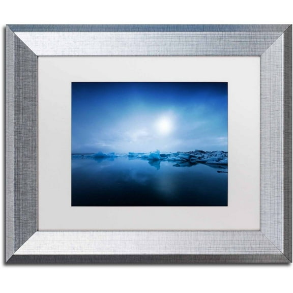 Trademark Fine Art 'Midnight Blue' Canvas Art by Philippe Sainte-Laudy, White Matte, Silver Frame