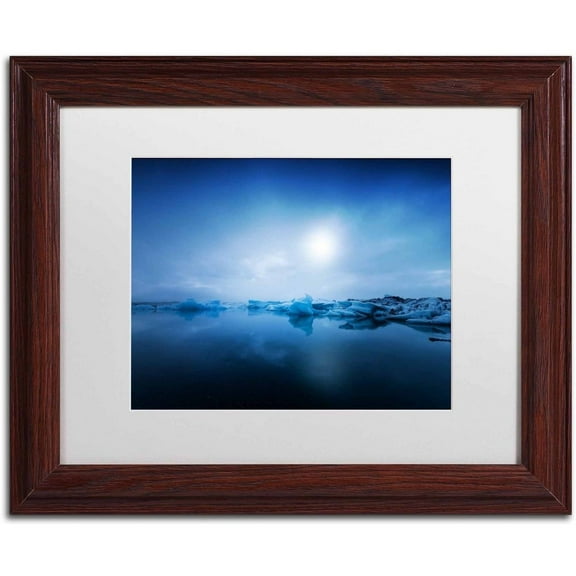 Trademark Fine Art 'Midnight Blue' Canvas Art by Philippe Sainte-Laudy, White Matte, Wood Frame
