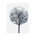 thumbnail image 1 of Trademark Fine Art 'Midnight Elm I' Canvas Art by Grace Popp, 1 of 4