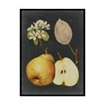 thumbnail image 1 of Trademark Fine Art 'Midnight Harvest IV' Canvas Art by Vision Studio, 1 of 4