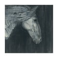 thumbnail image 1 of Trademark Fine Art 'Midnight Horse' Canvas Art by Albena Hristova, 1 of 3