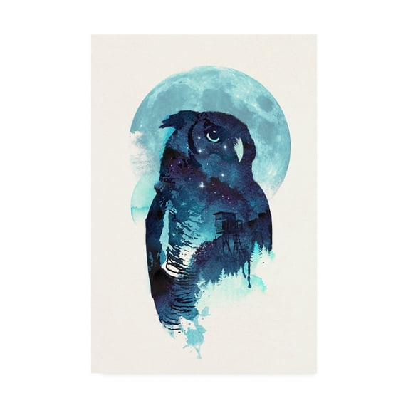Trademark Fine Art 'Midnight Owl Blue' Canvas Art by Robert Farka