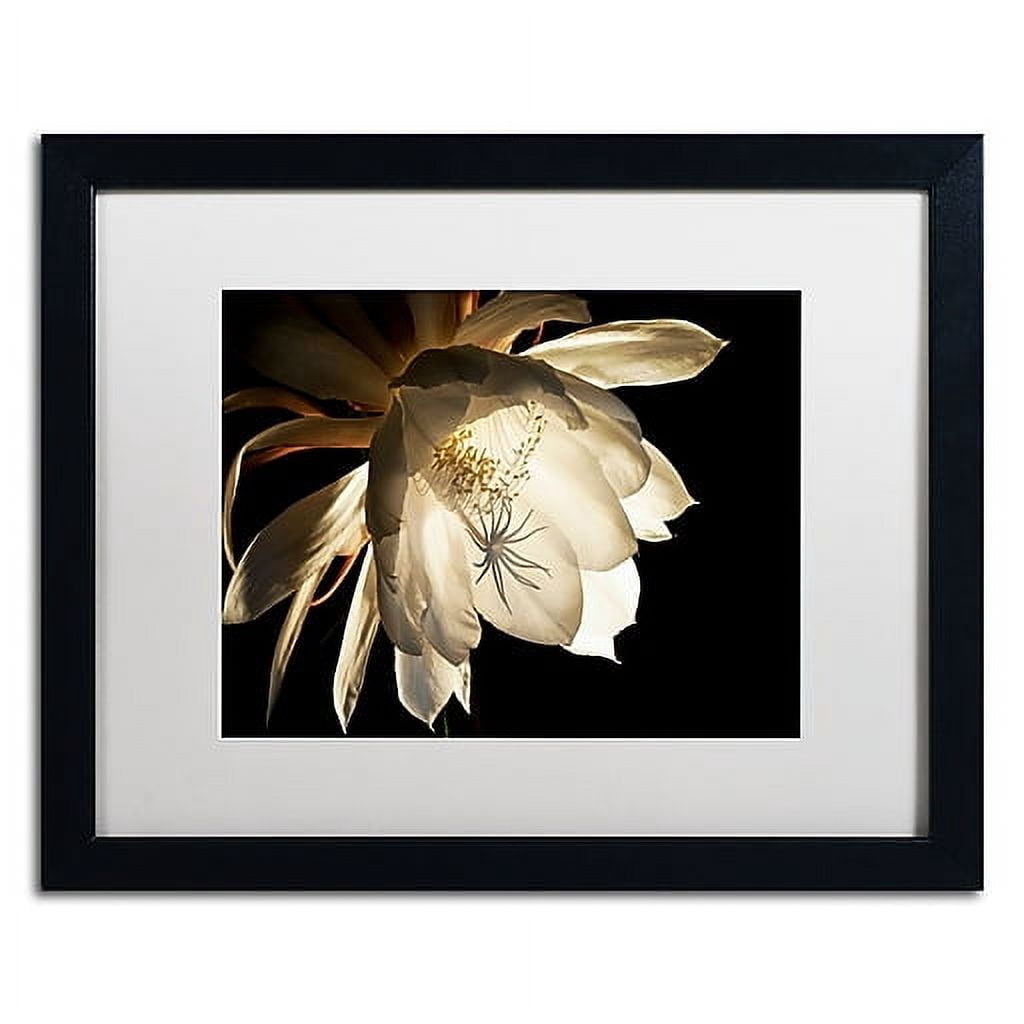 Trademark Fine Art "Midnight Portrait" Canvas Art by Kurt Shaffer White Mat, Black Frame