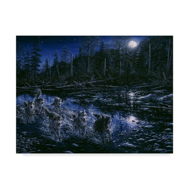 Trademark Fine Art 'Midnight Pursuit' Canvas Art by Jeff Tift