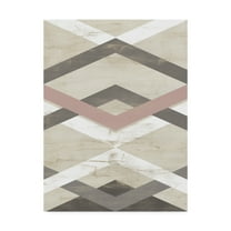 Trademark Fine Art 'Midpoint I' Canvas Art by June Erica Vess