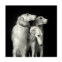 Trademark Fine Art Mieke Engelbos 3 of a kind Canvas Wall Art