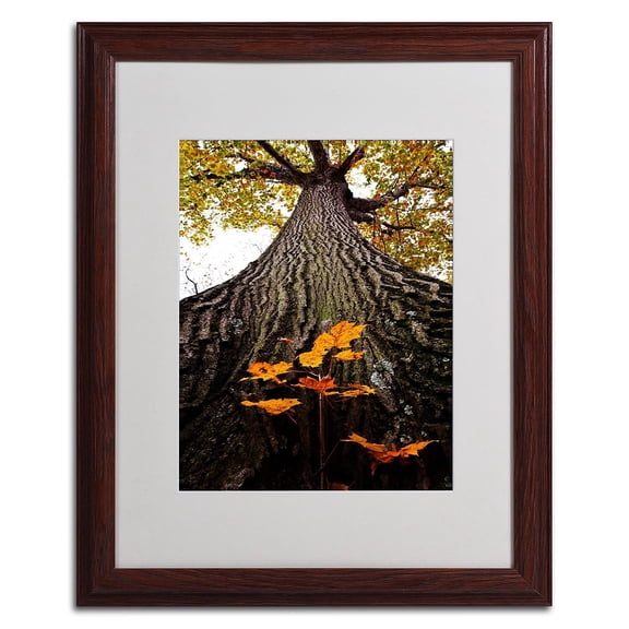 Trademark Fine Art "Mighty Maple and Sapling" by Kurt Shaffer, Wood Frame