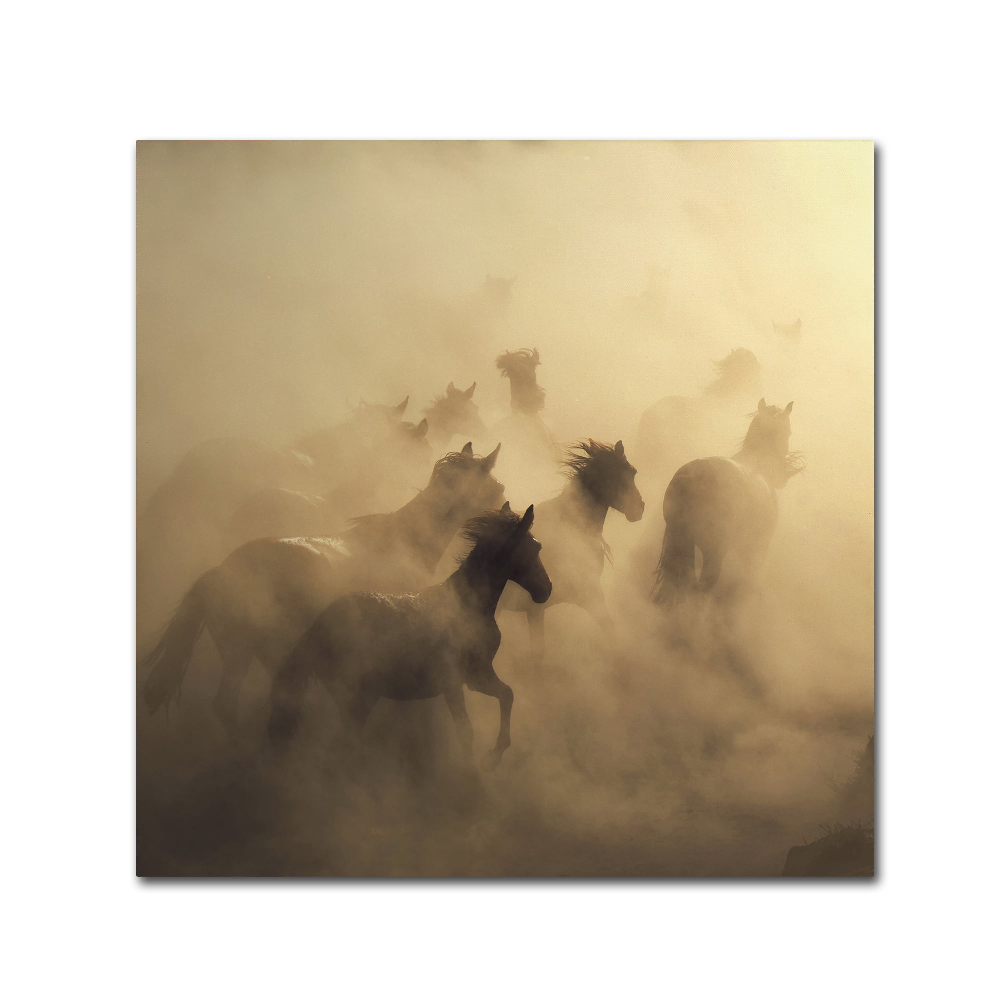 Trademark Fine Art 'Migration Of Horses' Canvas Art by Huseyin Ta?k?n