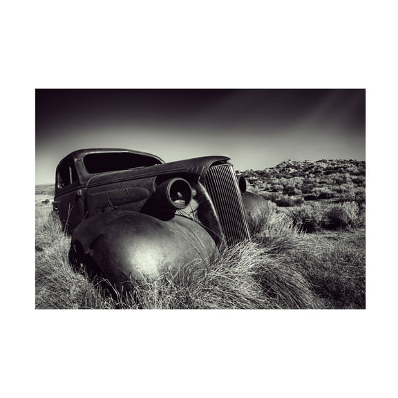 Trademark Fine Art Mike Kreiten Disposed Canvas Wall Art