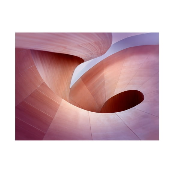 Trademark Fine Art Mike Kreiten Wooden Curves Canvas Wall Art