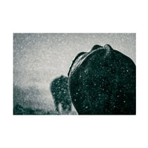 Trademark Fine Art Mike Taylor Rainy Season Canvas Wall Art