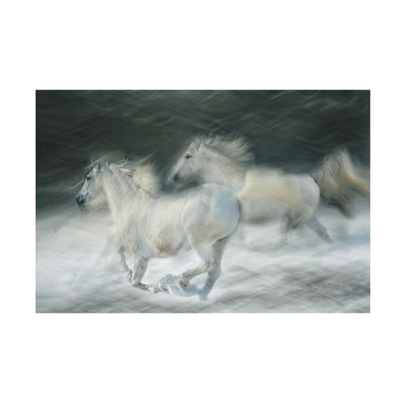Trademark Fine Art Milan Malovrh Gallop In A Duel Canvas Wall Art