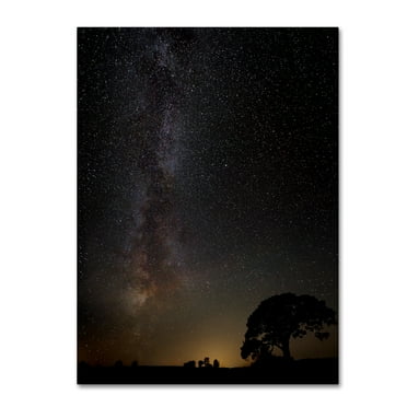 Trademark Fine Art 'Milkyway' Canvas Art by Kaspars Kurcens