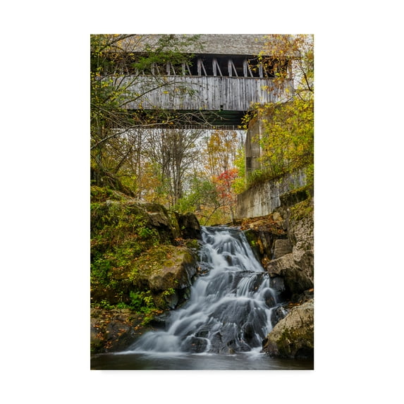 Trademark Fine Art 'Mill Bridge Waterfall' Canvas Art by Brenda Petrella Photography Llc