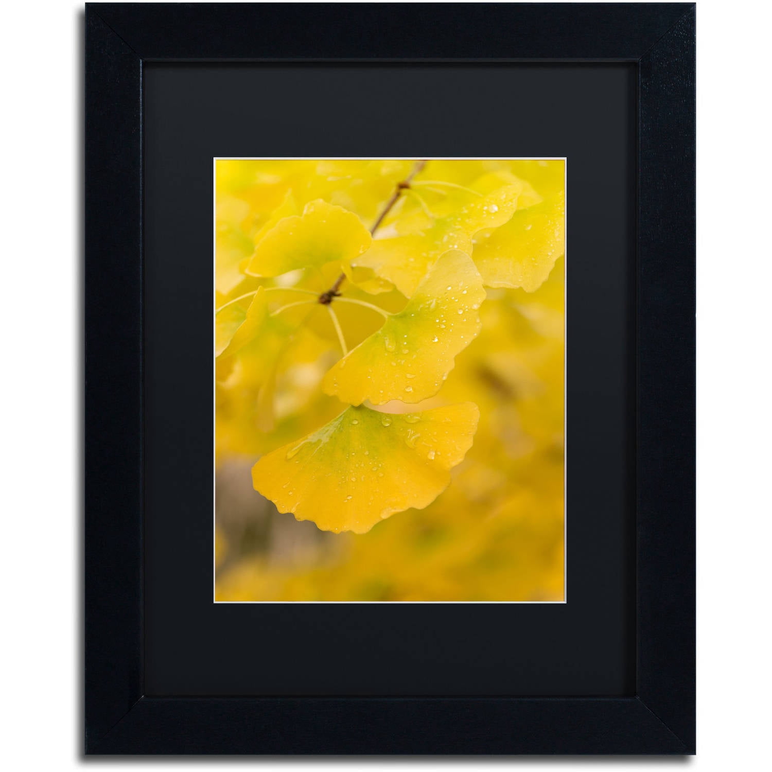 Trademark Fine Art "Millennium" Canvas Art by Philippe Sainte-Laudy Black Matte, Black Frame