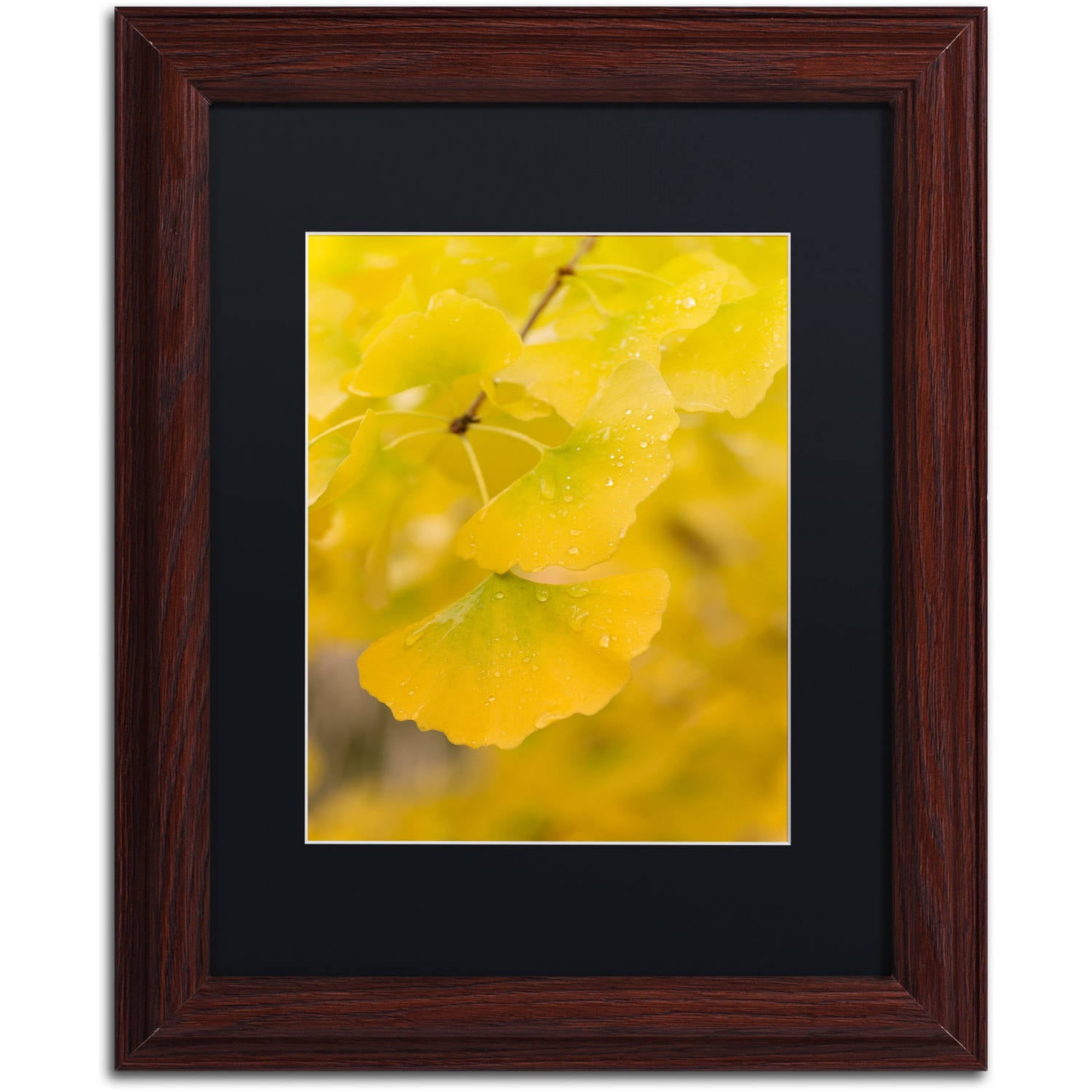 Trademark Fine Art "Millennium" Canvas Art by Philippe Sainte-Laudy Black Matte, Wood Frame