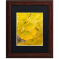 Trademark Fine Art "Millennium" Canvas Art by Philippe Sainte-Laudy Black Matte, Wood Frame