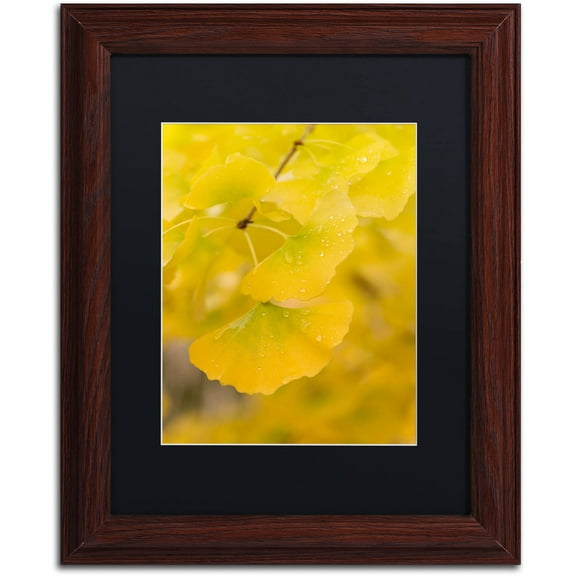 Trademark Fine Art "Millennium" Canvas Art by Philippe Sainte-Laudy Black Matte, Wood Frame