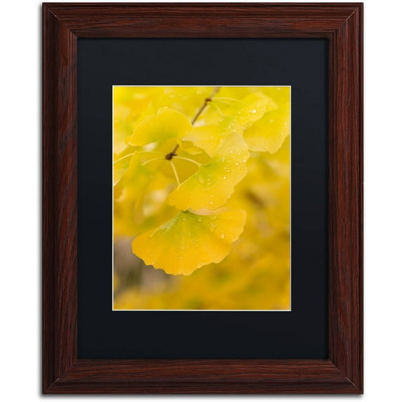 Trademark Fine Art "Millennium" Canvas Art by Philippe Sainte-Laudy Black Matte, Wood Frame