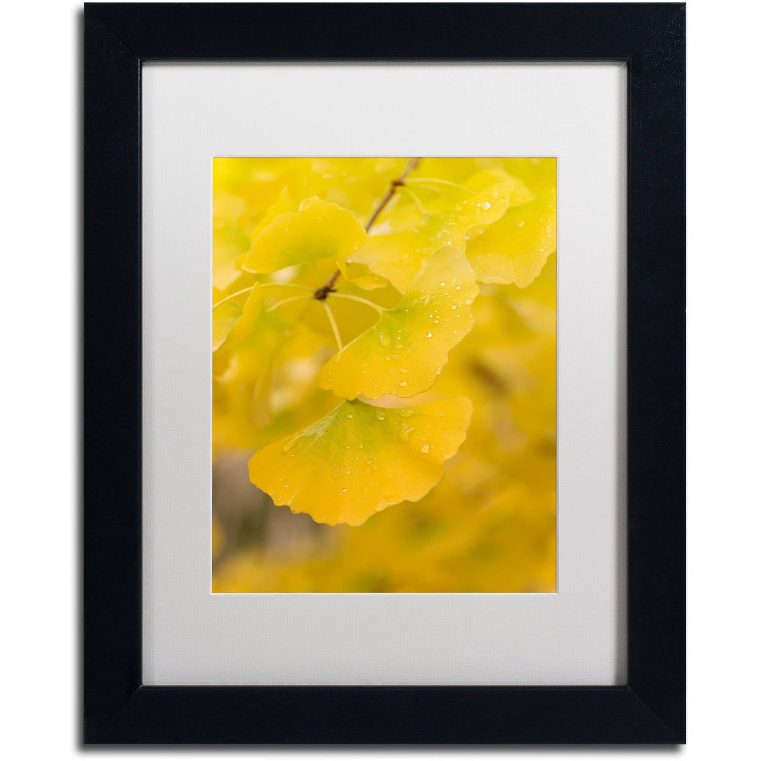 Trademark Fine Art "Millennium" Canvas Art by Philippe Sainte-Laudy White Matte, Black Frame
