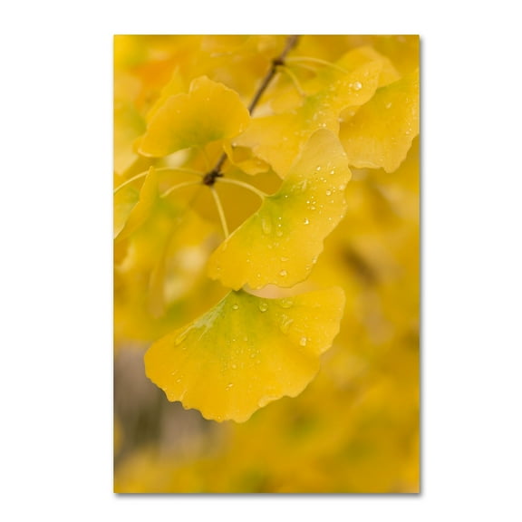 Trademark Fine Art "Millennium" Canvas Art by Philippe Sainte-Laudy