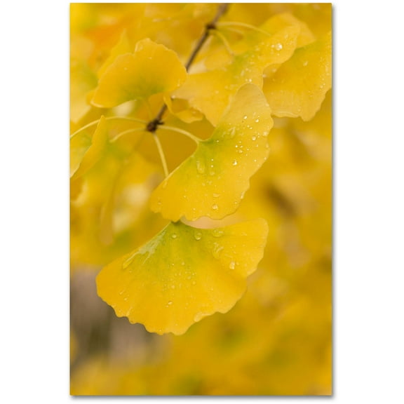 Trademark Fine Art "Millennium" Canvas Art by Philippe Sainte-Laudy