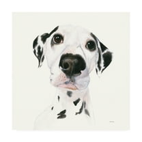 Trademark Fine Art 'Milo v2' Canvas Art by Patsy Ducklow