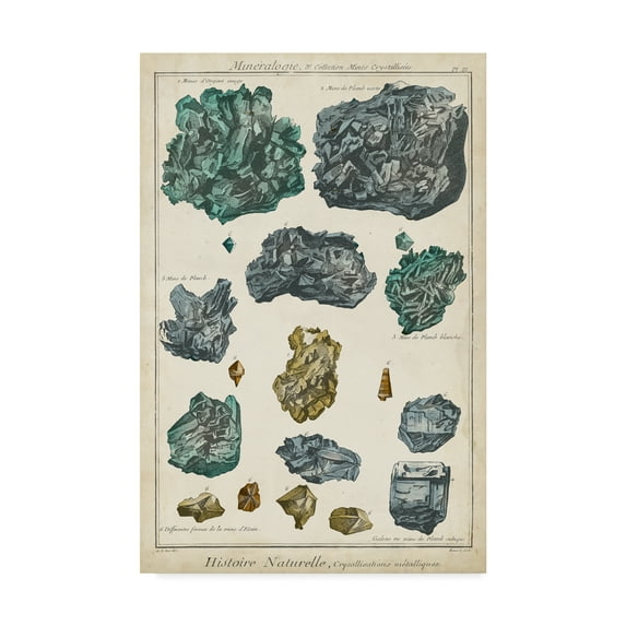 Trademark Fine Art 'Mineralogie IV' Canvas Art by Vision Studio