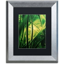 Trademark Fine Art "Miniature" Canvas Art by Philippe Sainte-Laudy Black Matte, Silver Frame