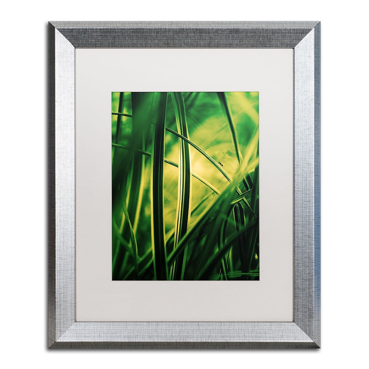 Trademark Fine Art "Miniature" Canvas Art by Philippe Sainte-Laudy White Matte, Silver Frame