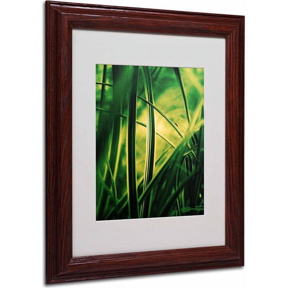 Trademark Fine Art "Miniature" Canvas Art by Philippe Sainte-Laudy, Wood Frame