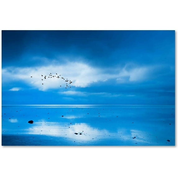 Trademark Fine Art 'Mirror of the Soul' Canvas Art by Philippe Sainte-Laudy