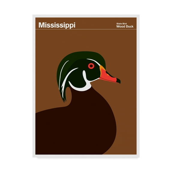 Trademark Fine Art 'Mississippi Wood Duck' Canvas Art by Print Collection - Artist