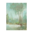 thumbnail image 1 of Trademark Fine Art 'Mist in the Glen II' Canvas Art by Tim OToole, 1 of 3
