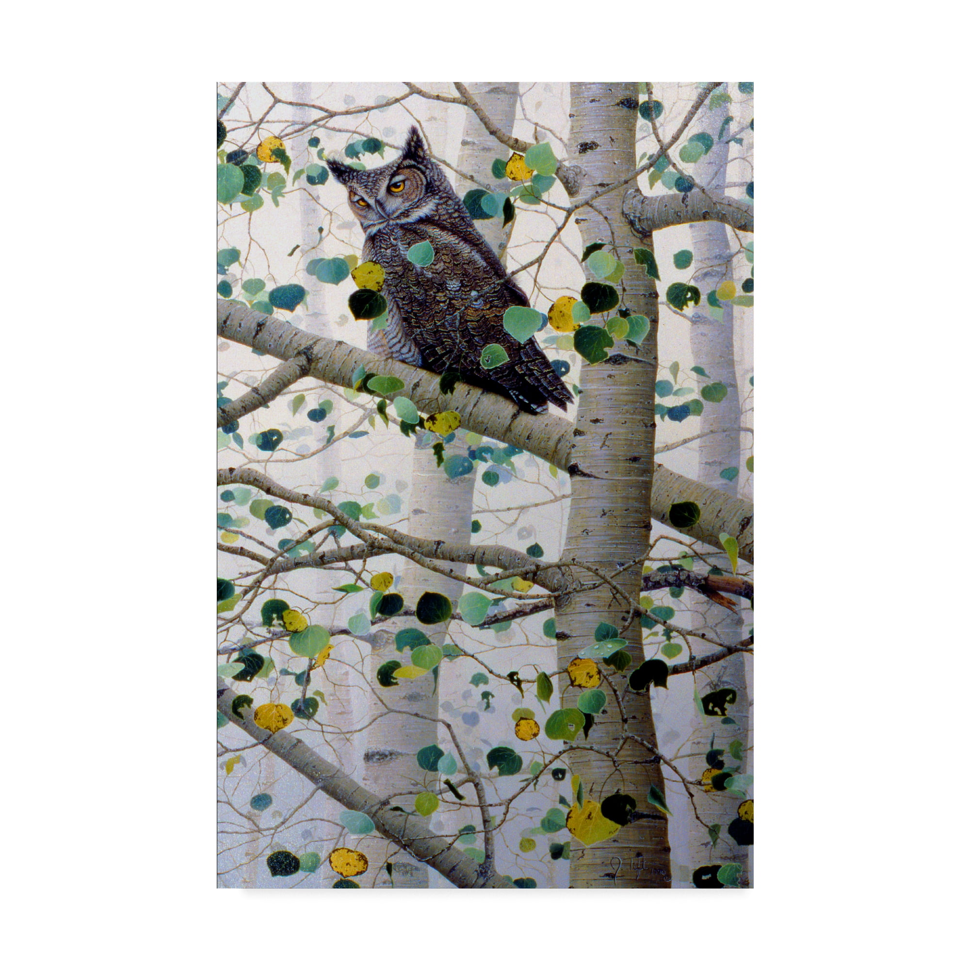 Trademark Fine Art 'Misty Aspen' Canvas Art by Jeff Tift