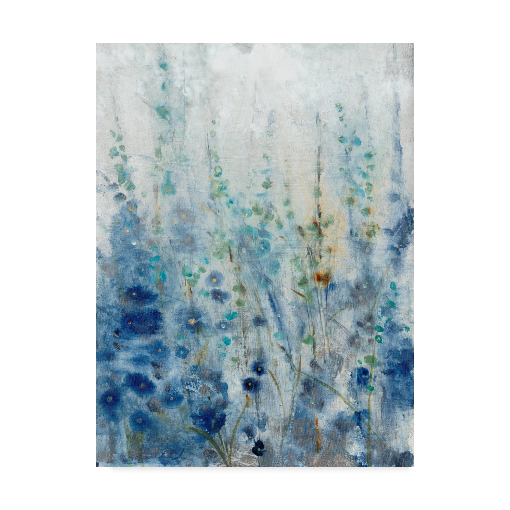 Trademark Fine Art 'Misty Blooms II' Canvas Art by Tim OToole