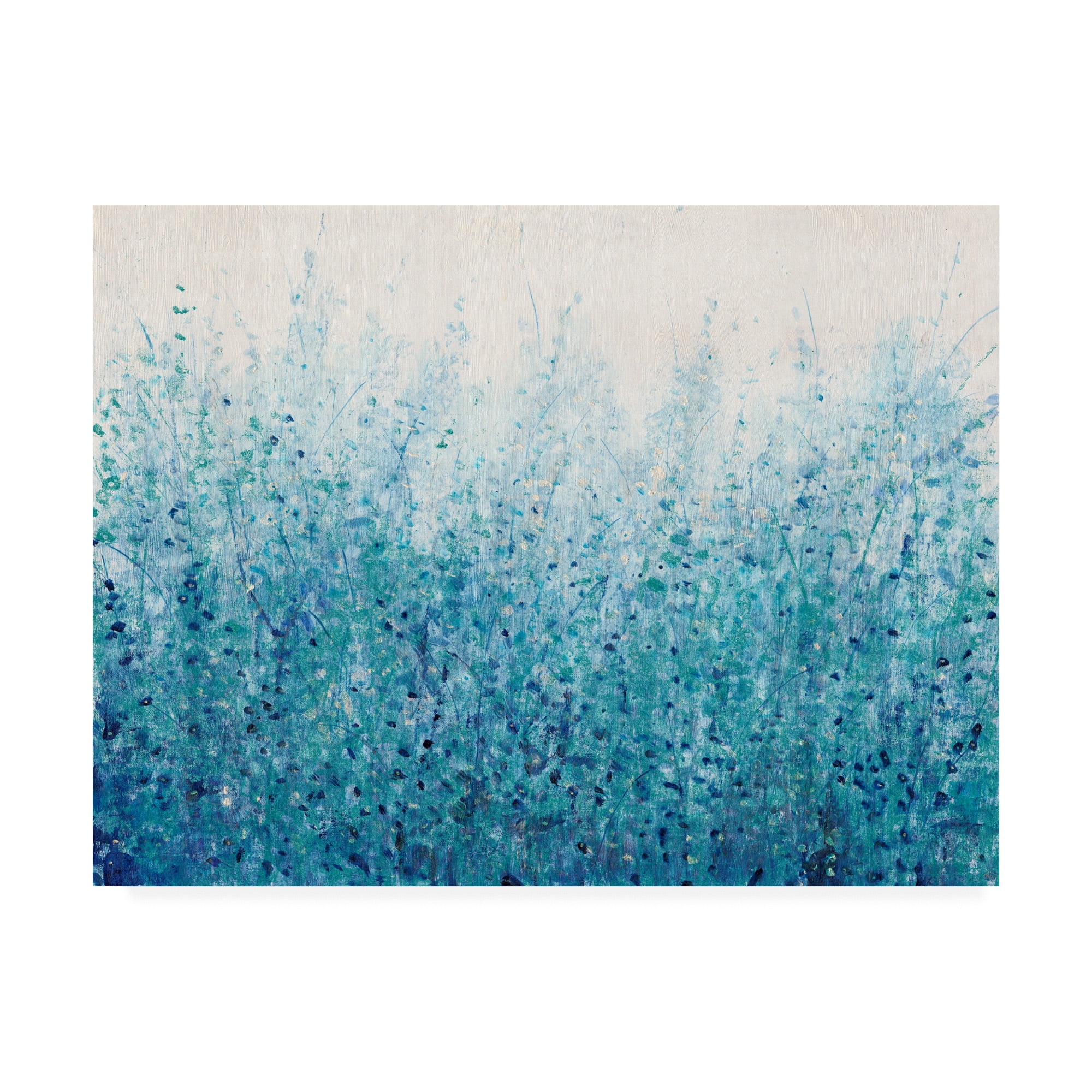 Trademark Fine Art 'Misty Blues II' Canvas Art by Tim OToole